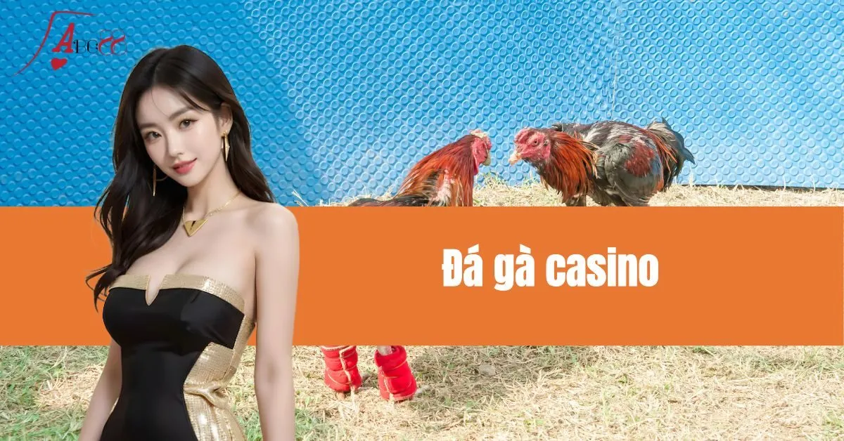 Đá gà casino