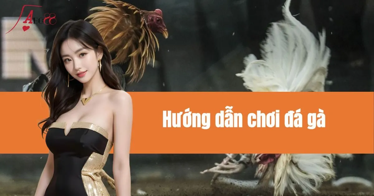 Hướng dẫn chơi đá gà